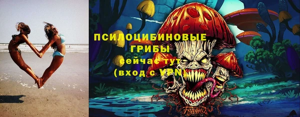 шишки Карпинск
