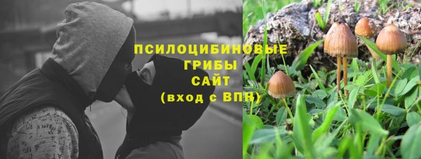 кокс Козловка
