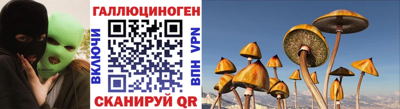 где продают наркотики  Кувшиново  Галлюциногенные грибы мухоморы 